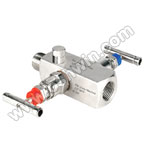 SS304/ 316L 2 Way Manifold Valves,R2,Type 1 SS304/ 316L 2 Way Manifold Valves,R2,Type 1