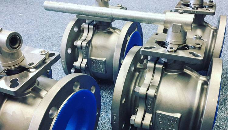 Hastelloy C22 Valve