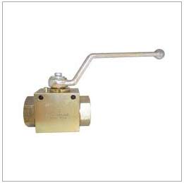 6,000 PSI Panel Mounted Reduced Bore Ball Valve, BSPP 316 Stainless Steel