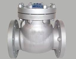 Stainless Steel Non Return Valve